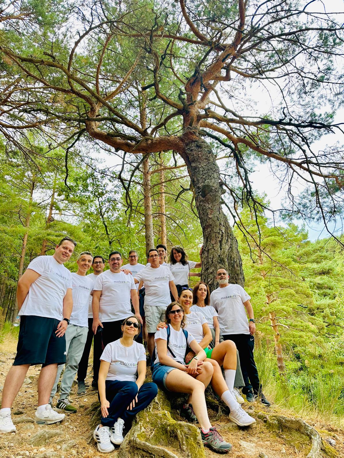equipo y arbol Makesoft