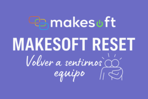 makesoft-reset