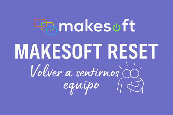 makesoft-reset